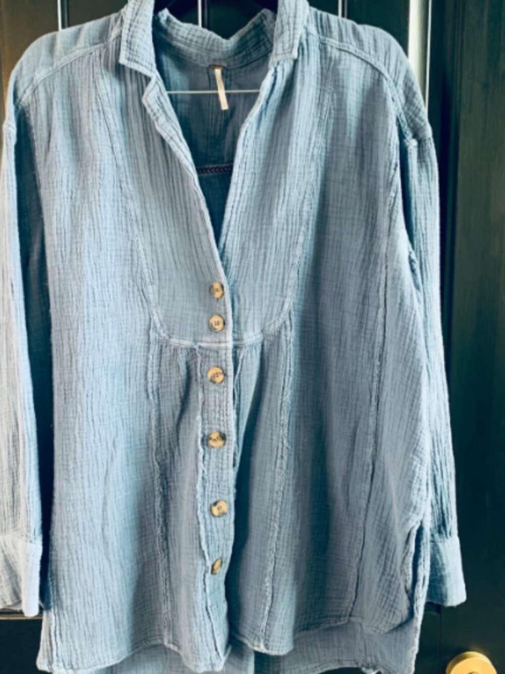 Free People Cotton Gauze Oversized Blue Button Down Shirt